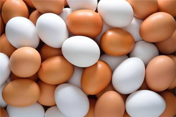 أسعار البيض بداية تعاملات اليوم الأحد 19 مارس