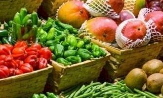 أسعار الخضراوات اليوم الثلاثاء.. الطماطم تبدأ من 4.5 جنيها والبطاطس من 4 جنيهات