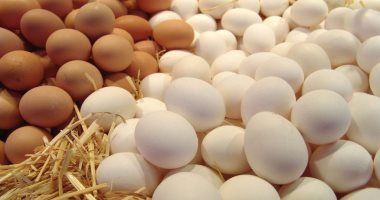 المحصول السنوى من بيض المائدة سجل 16.4 مليار بيضة بنهاية 2021