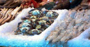 شعبة الأسماك تكشف استقرار أسعار البلطى عند 69 جنيها للكيلو