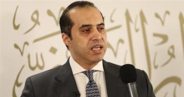المستشار محمود فوزي: الحوار الوطنى محكوم بأطر دستورية لا يجب أن نخرج عنها