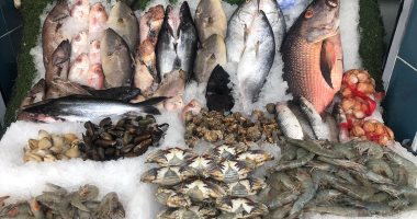 شعبة الأسماك: استقرار أسعار سمك البلطى عند 69 جنيها للكيلو