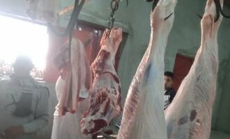أسعار اللحوم فى مصر اليوم الأحد 11 يونيو 2023