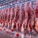 الضأن بـ 350 جنيها أسعار اللحوم اليوم الأربعاء 7 - 6 - 2023