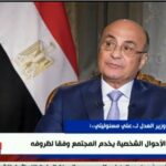 وزير العدل يكشف أحدث إحصائية لنسبة الطلاق في مصر