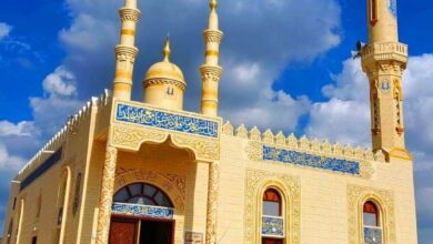 الأوقاف: افتتاح 14 مسجدًا الجمعة القادمة.. 12 إحلالًا وتجديدًا و 2 صيانة وتطويرًا