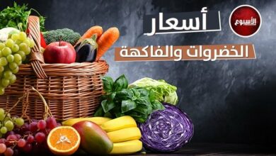 أسعار الخضروات والفاكهة اليوم الاثنين 6 نوفمبر 2023