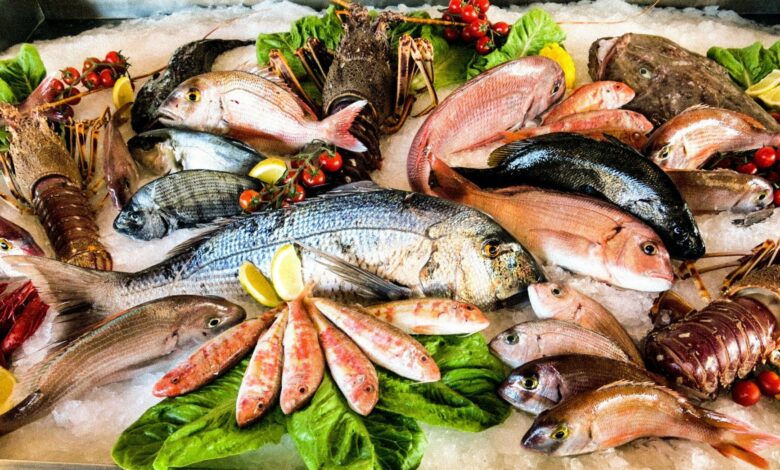 أسعار السمك والجمبري اليوم الثلاثاء 7 نوفمبر 2023