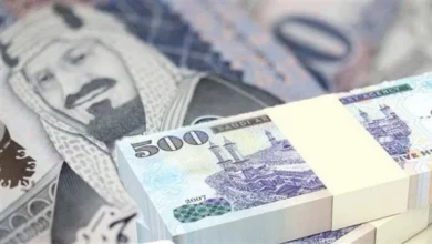 استقرار سعر الريال السعودي في بنوك مصر اليوم الثلاثاء 7-11-2023
