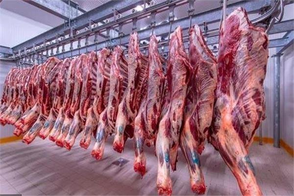 الكندوز بـ 350 جنيهًا.. أسعار اللحوم اليوم السبت 18 - 11 - 2023